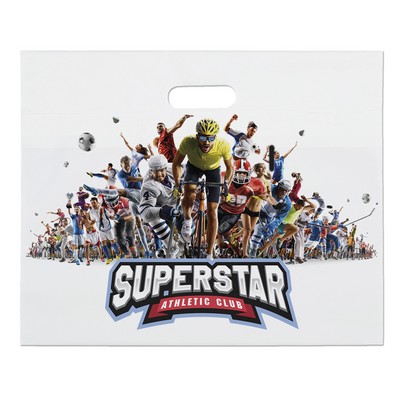 Die Cut Bag - Digital Full Color (16" x 13")